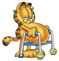 /album/garfield/a1-2-jpg/